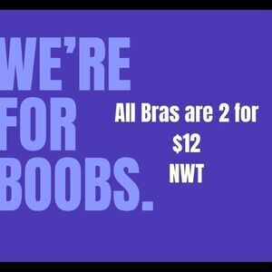 Put two Bras in a Bundle 2 for 12